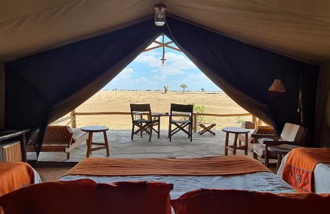 3_c6bo-voyage-plongee-kenya-safari-animalier-parc-national-tsavo-est-reserve-tente-standard-vue-parc